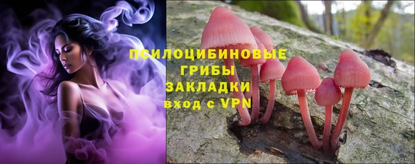 кокаин перу Бородино