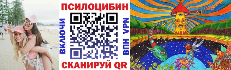 Псилоцибиновые грибы Psilocybine cubensis Сретенск